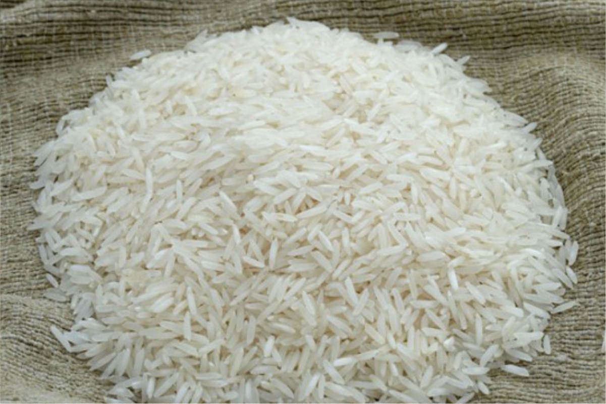 talesh-rice-4